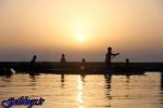 عاملان آتش سوزی تالاب هورالعظیم دستگیر شدند